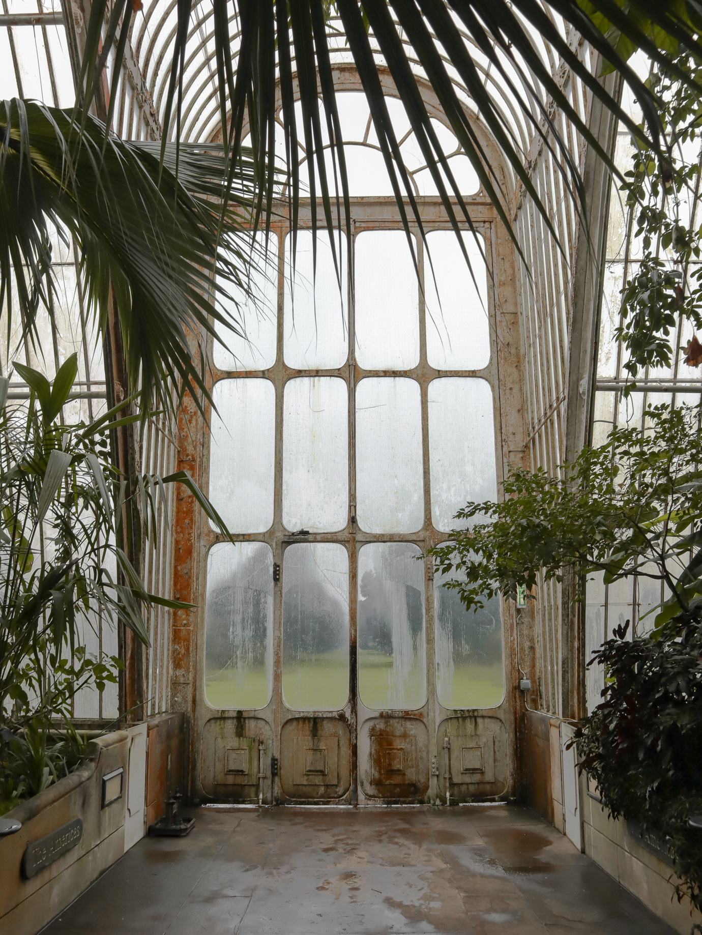 A Foggy January Day at Kew Gardens London-11