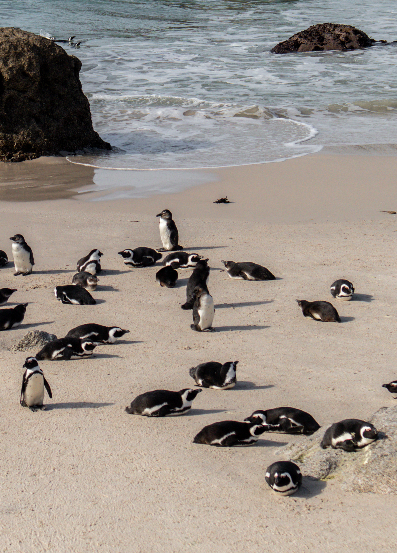 KATIE MERKLI CAPE TOWN-14