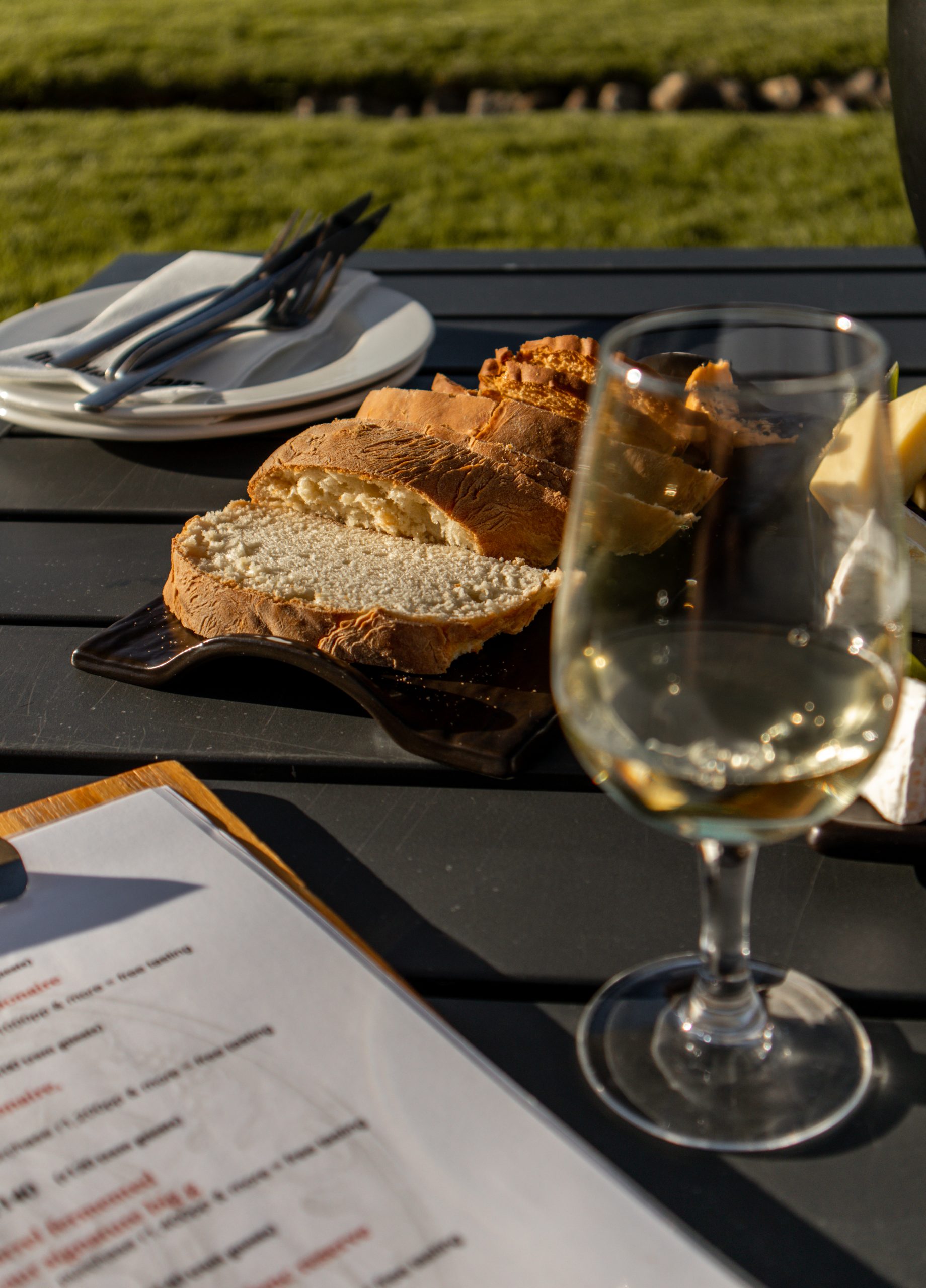 KATIE MERKLI CAPE WINELANDS-10