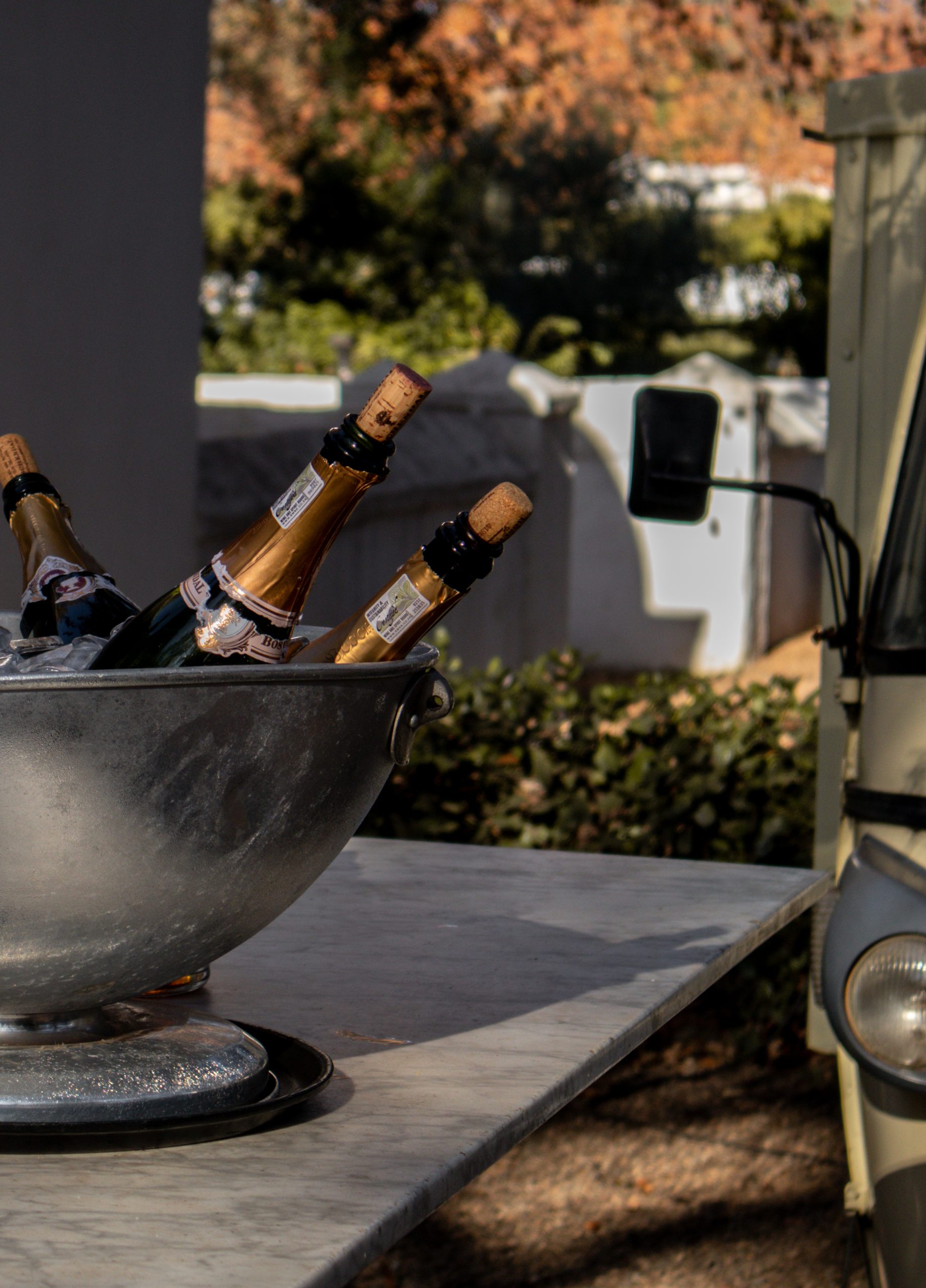 KATIE MERKLI CAPE WINELANDS-19