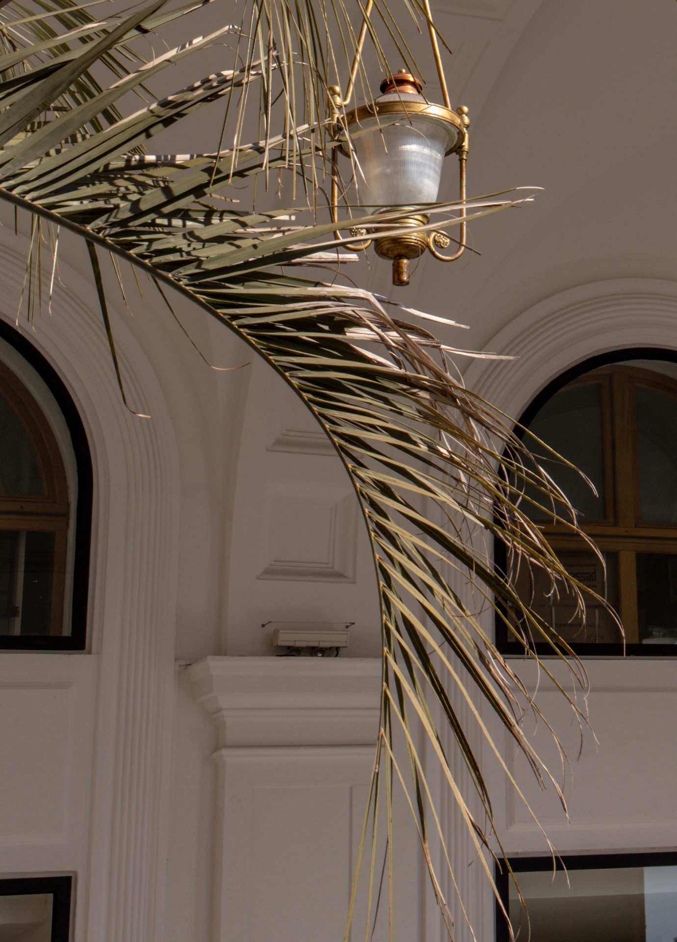 KATIE MERKLI NICE FRANCE-13