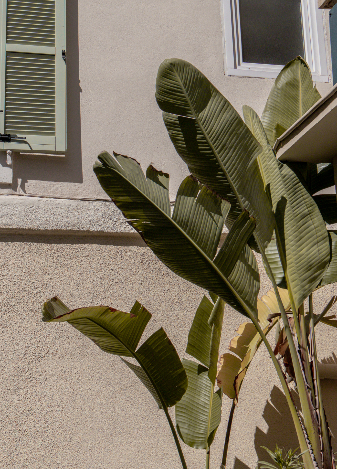 KATIE MERKLI NICE FRANCE-3