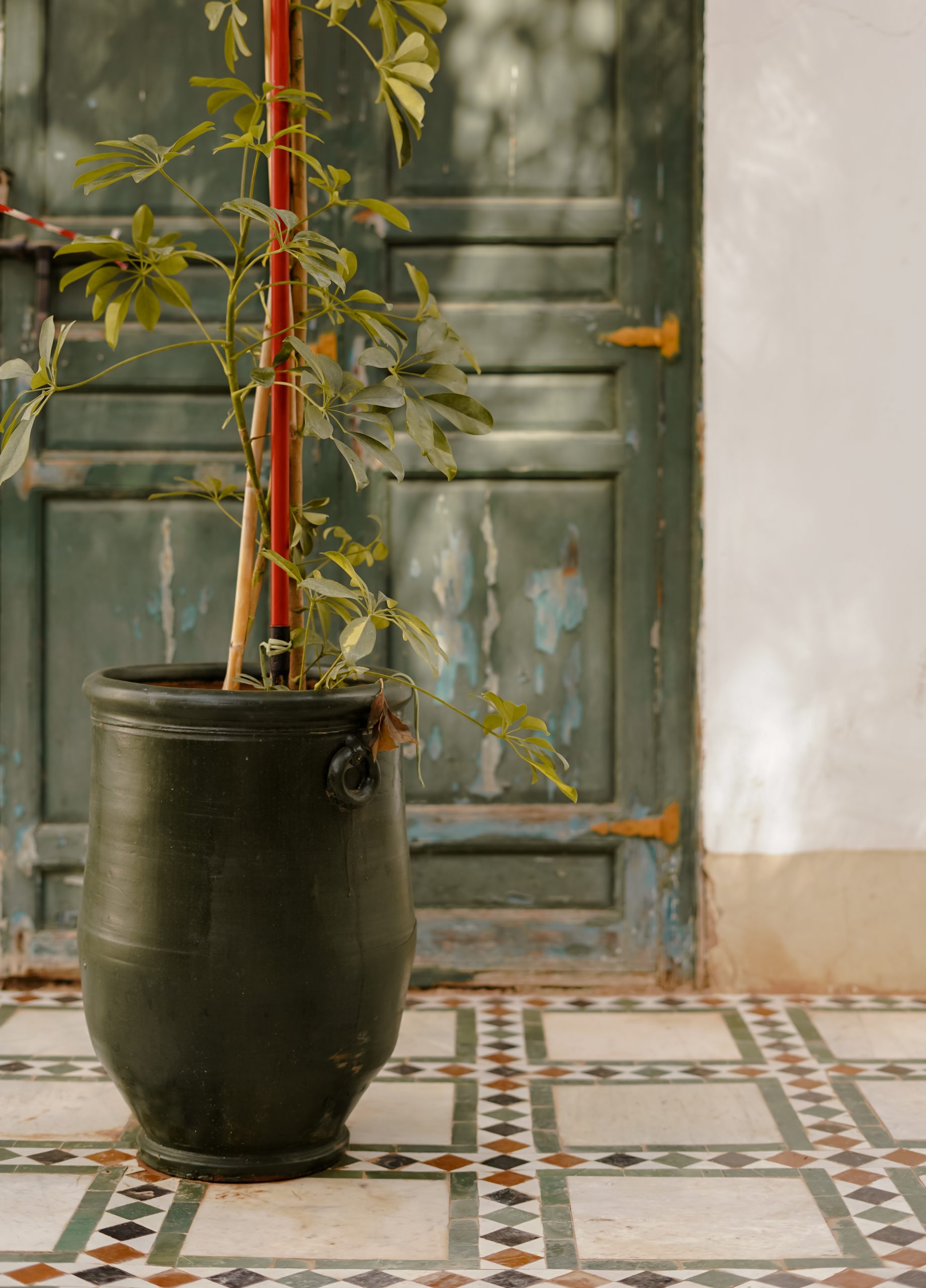 KATIE MERKLI MARRAKECH-80