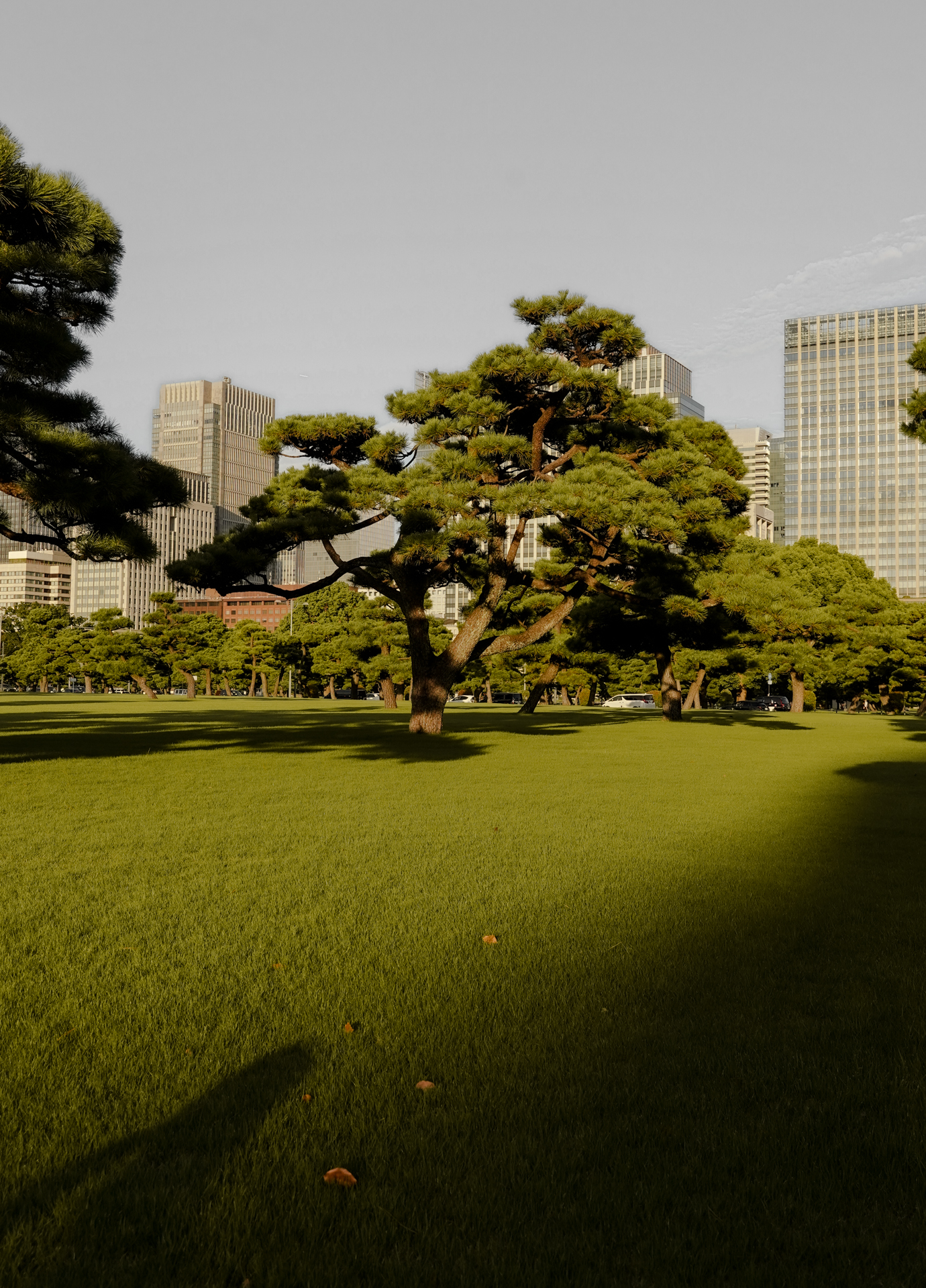 KATIE MERKLI JAPAN-163
