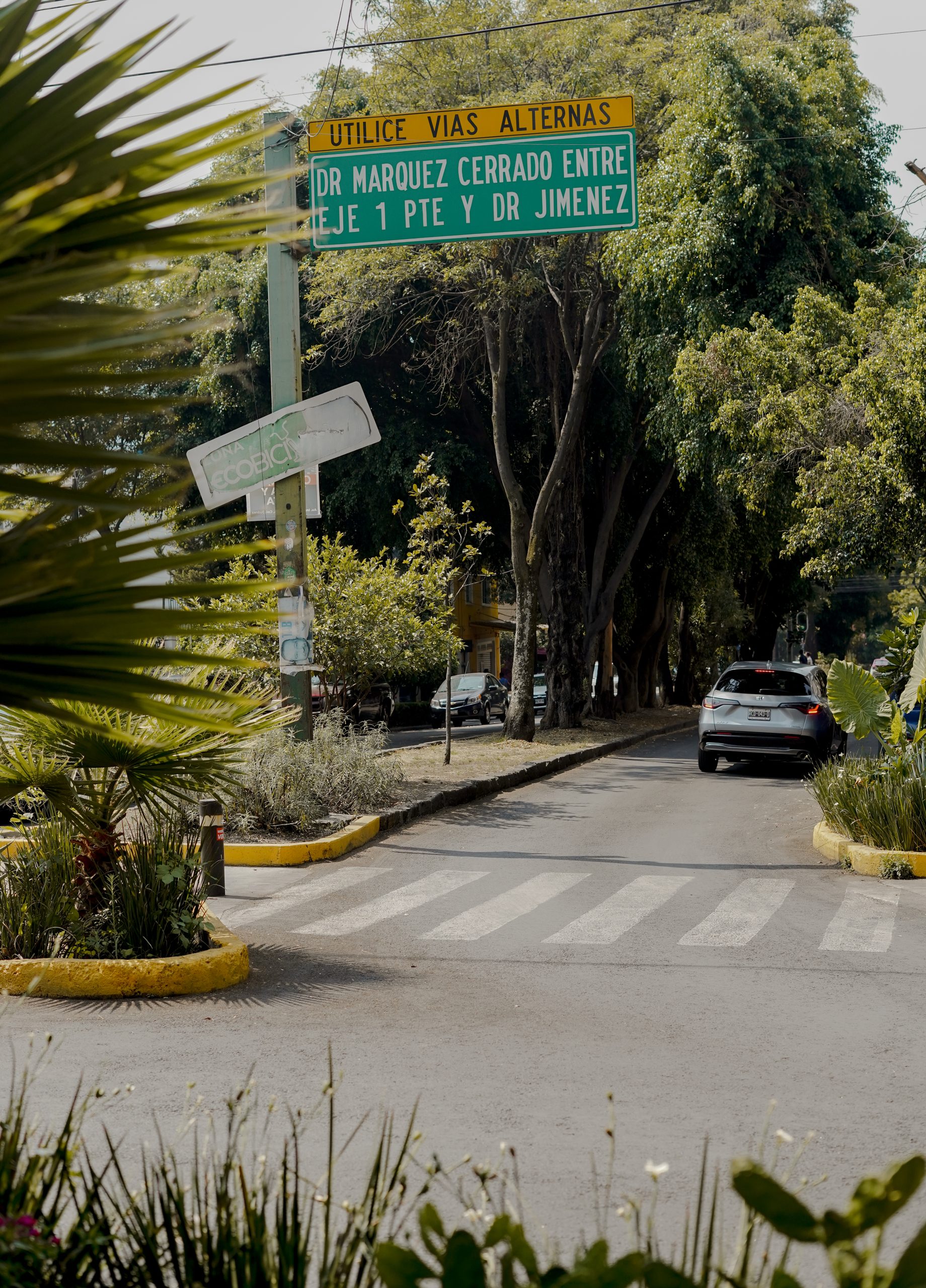 Katie Merkli Mexico City-66