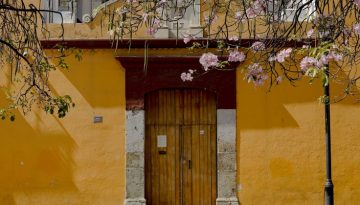Katie Merkli Oaxaca City Mexico-10